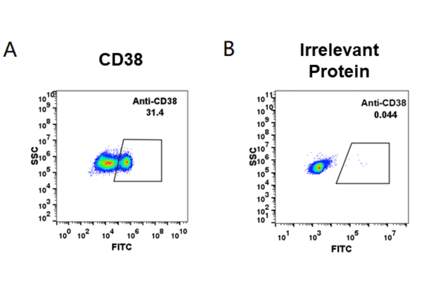 Flow Cytometry - Anti-CD38 Antibody [Daratumumab Biosimilar] - Azide free (A318952) - Antibodies.com
