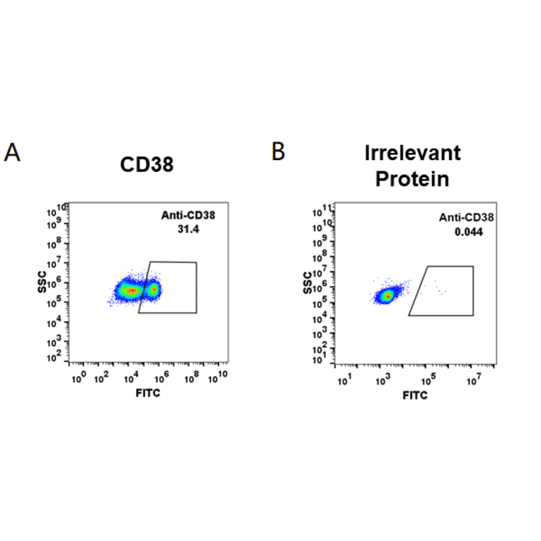 Flow Cytometry - Anti-CD38 Antibody [Daratumumab Biosimilar] - Azide free (A318952) - Antibodies.com