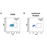 Flow Cytometry - Anti-CD38 Antibody [Daratumumab Biosimilar] - Azide free (A318952) - Antibodies.com