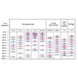 SDS-PAGE - PiNK Plus Prestained Protein Ladder (A318977) - Antibodies.com