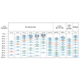 SDS-PAGE - BLUelf Prestained Protein Ladder (A318980) - Antibodies.com