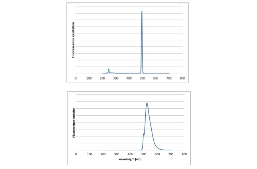 Fluorescence Spectrum - Novel Green (10,000x) DNA Stain (A318983) - Antibodies.com