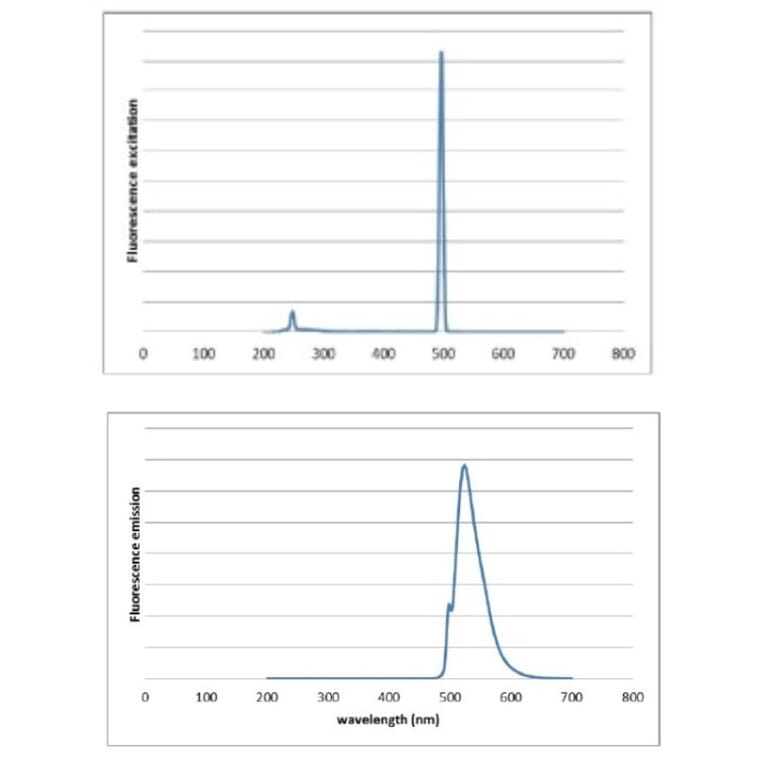 Fluorescence Spectrum - Novel Green (10,000x) DNA Stain (A318983) - Antibodies.com