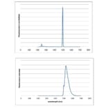 Fluorescence Spectrum - Novel Green (10,000x) DNA Stain (A318983) - Antibodies.com