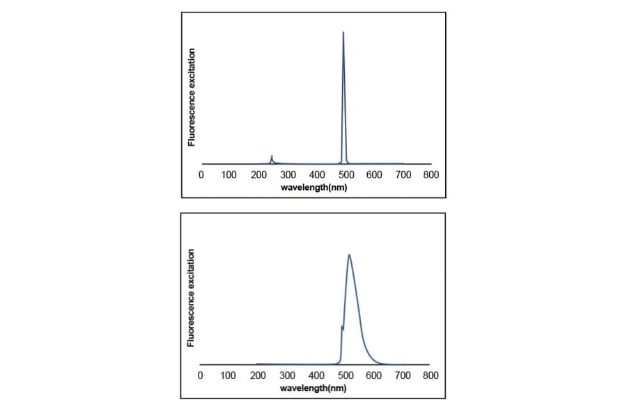 Fluorescence Spectrum - Novel Green Plus (20,000X) DNA Stain (A318984) - Antibodies.com