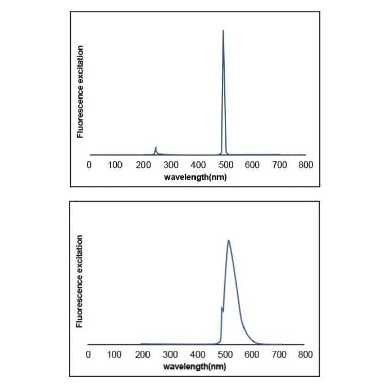 Fluorescence Spectrum - Novel Green Plus (20,000X) DNA Stain (A318984) - Antibodies.com