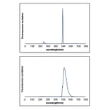 Fluorescence Spectrum - Novel Green Plus (20,000X) DNA Stain (A318984) - Antibodies.com