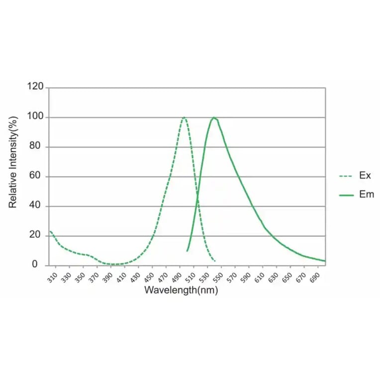 Fluorescence Spectrum - Novel Juice Plus DNA Stain (A318985) - Antibodies.com