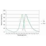 Fluorescence Spectrum - Novel Juice Plus DNA Stain (A318985) - Antibodies.com