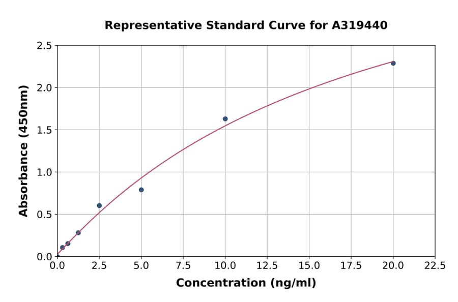 Standard Curve - Rabbit Neutrophil Elastase ELISA Kit (A319440) - Antibodies.com