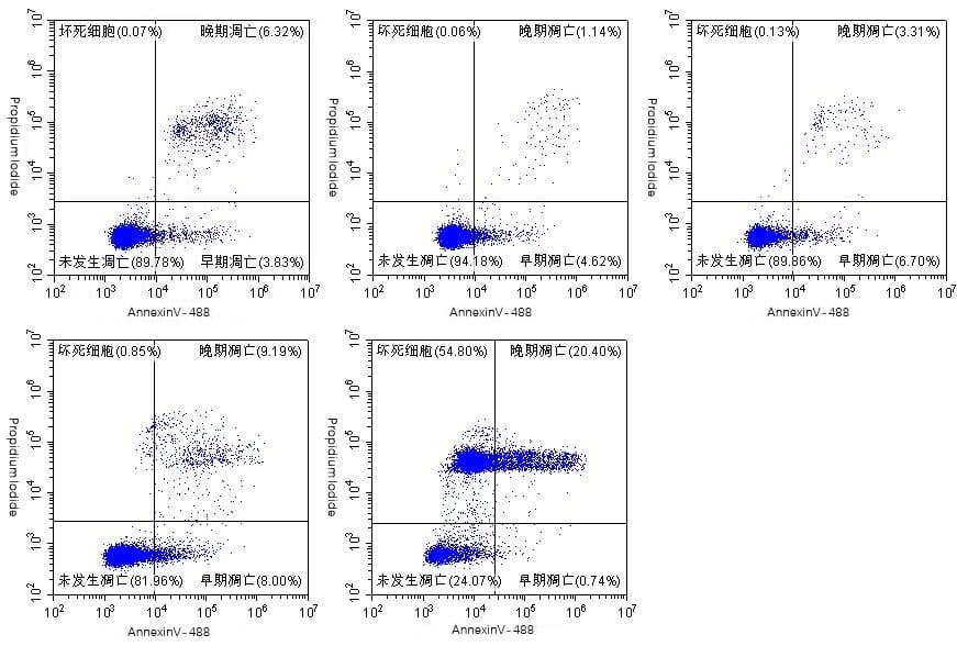 Annexin Fluorescent Dye 488 Labelled / PI Apoptosis Detection Kit