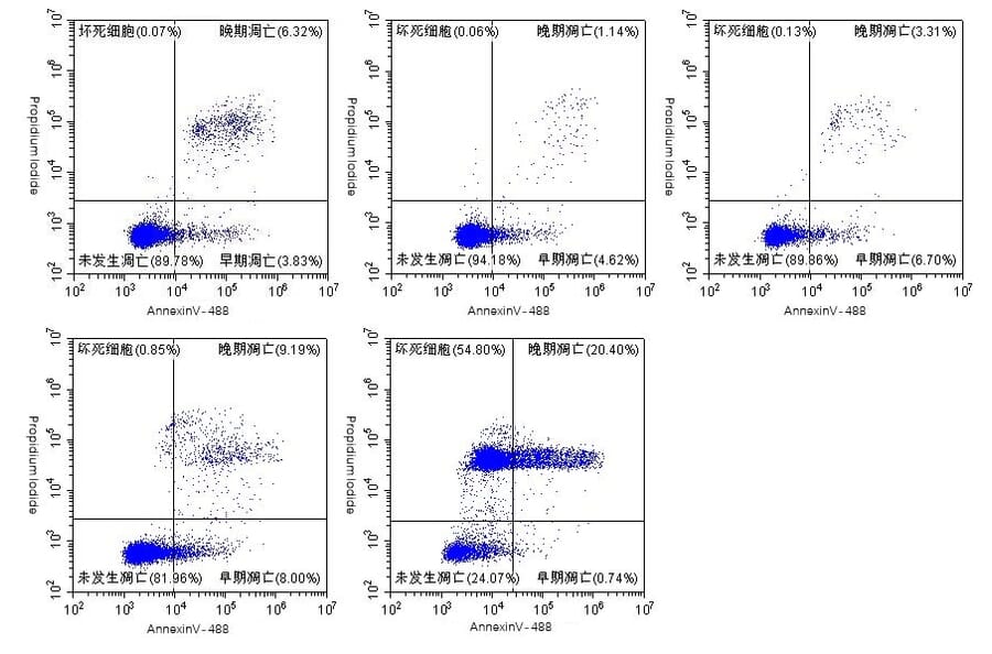 Immunocytochemistry - Annexin Fluorescent Dye 488 Labelled / PI Apoptosis Detection Kit (A319604) - Antibodies.com