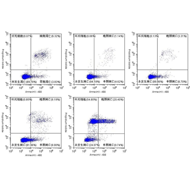 Immunocytochemistry - Annexin Fluorescent Dye 488 Labelled / PI Apoptosis Detection Kit (A319604) - Antibodies.com