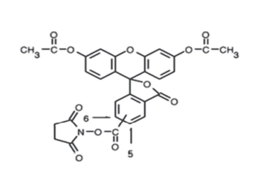Structural Formula -5(6)-CFDA, SE (A319621) - Antibodies.com