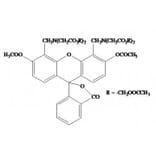 Structural Formula - Calcein AM (A319623) - Antibodies.com