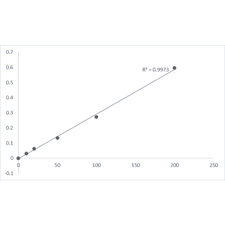 Standard Curve - Caspase-8 Assay Kit (Colorimetric) (A319629) - Antibodies.com
