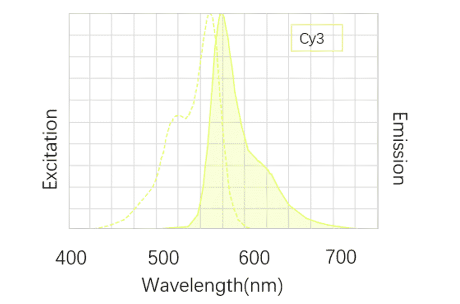 Structural Formula - Cyanine 3 (A319635) - Antibodies.com