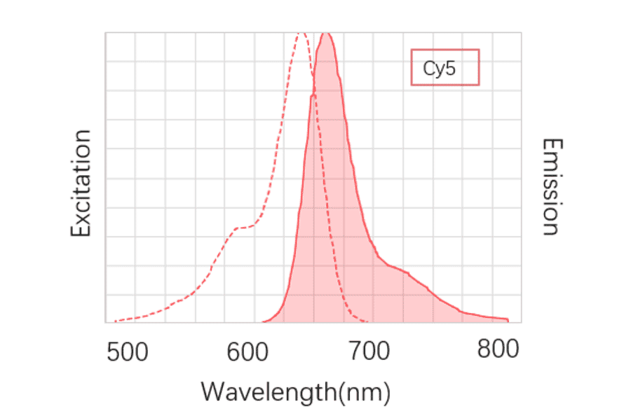 Structural Formula - Cyanine 5 (A319636) - Antibodies.com