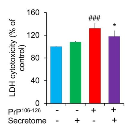 Cytotoxicity Assay - LDH Cytotoxicity Assay Kit - Antibodies.com
