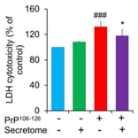 Cytotoxicity Assay - LDH Cytotoxicity Assay Kit - Antibodies.com