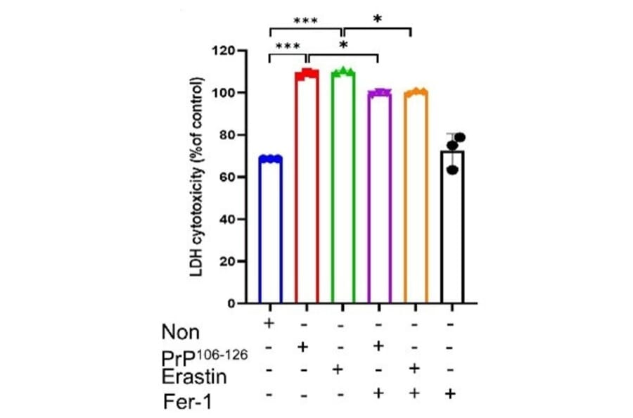 LDH Assay - LDH Cytotoxicity Assay Kit (A319649) - Antibodies.com