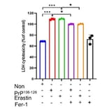 LDH Assay - LDH Cytotoxicity Assay Kit (A319649) - Antibodies.com