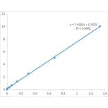 Standard Curve - Cysteine Assay Kit (A319672) - Antibodies.com