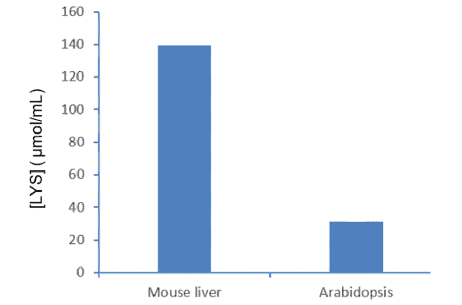 Functional Studies - Lysine Assay Kit (A319698) - Antibodies.com