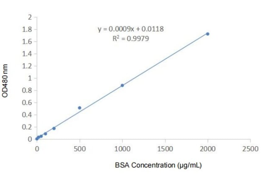Standard Curve - Super-Rapid Protein Quantification Kit (BCA Assay) (A319773) - Antibodies.com