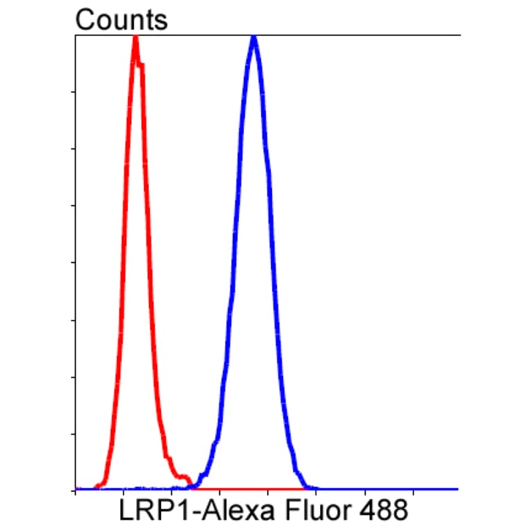 Anti-LRP1 Antibody from Bioworld Technology (BS9805M) - Antibodies.com