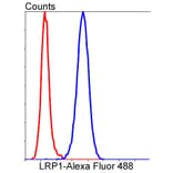 Anti-LRP1 Antibody from Bioworld Technology (BS9805M) - Antibodies.com