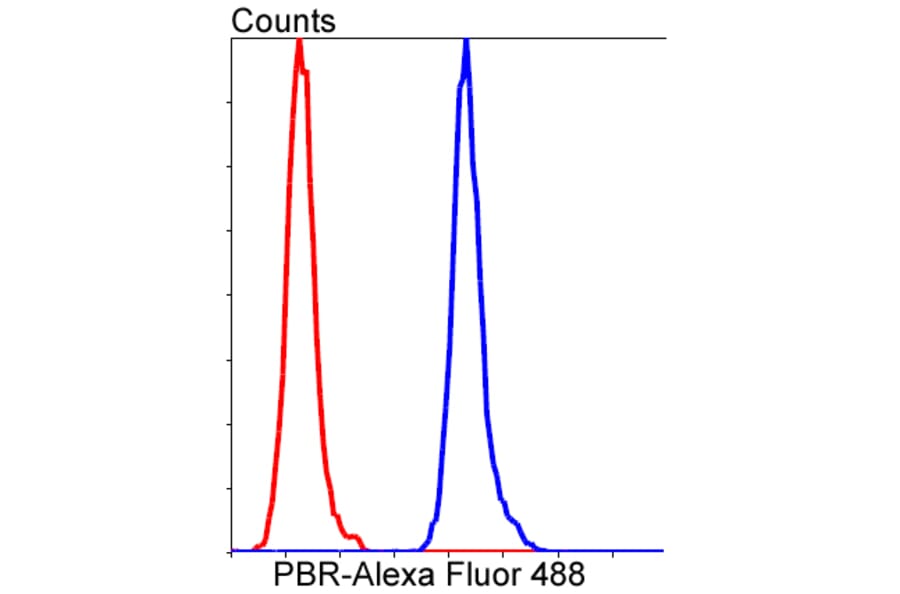 Anti-PBR Antibody from Bioworld Technology (BS9815M) - Antibodies.com