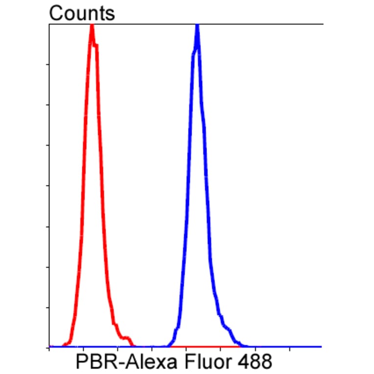 Anti-PBR Antibody from Bioworld Technology (BS9815M) - Antibodies.com