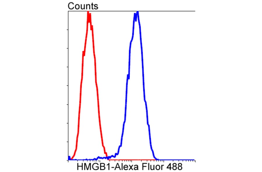 Anti-HMGB1 Antibody from Bioworld Technology (BS9816M) - Antibodies.com