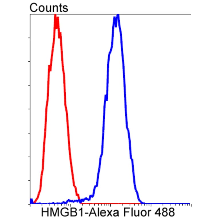 Anti-HMGB1 Antibody from Bioworld Technology (BS9816M) - Antibodies.com