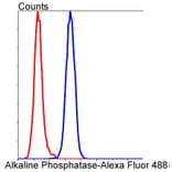 Anti-TNAP Antibody from Bioworld Technology (BS9818M) - Antibodies.com