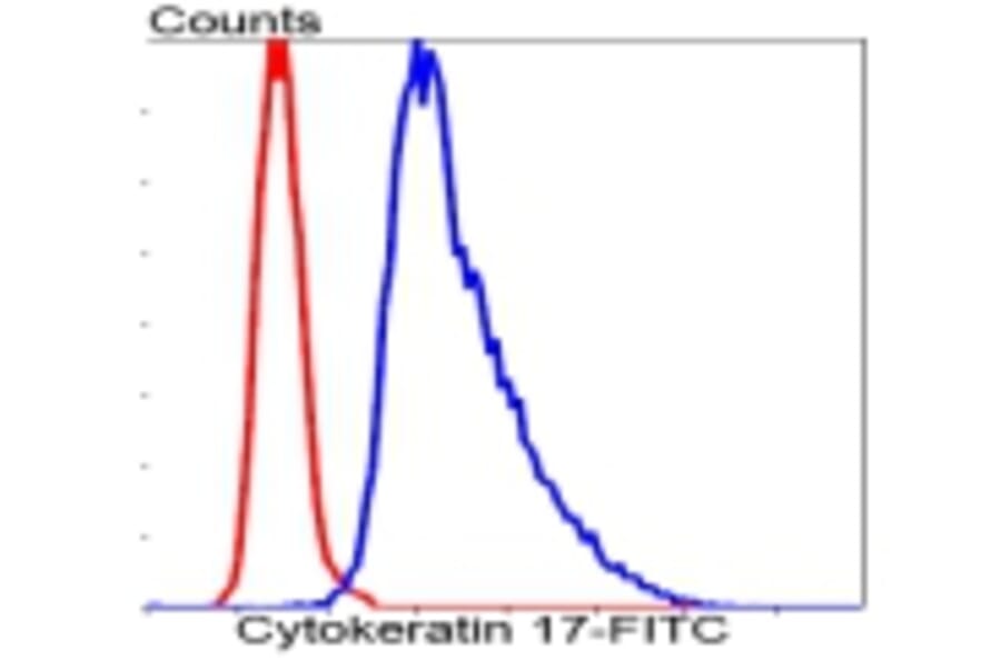 Anti-Cytokeratin 17 Antibody from Bioworld Technology (BS9829M) - Antibodies.com