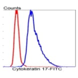 Anti-Cytokeratin 17 Antibody from Bioworld Technology (BS9829M) - Antibodies.com
