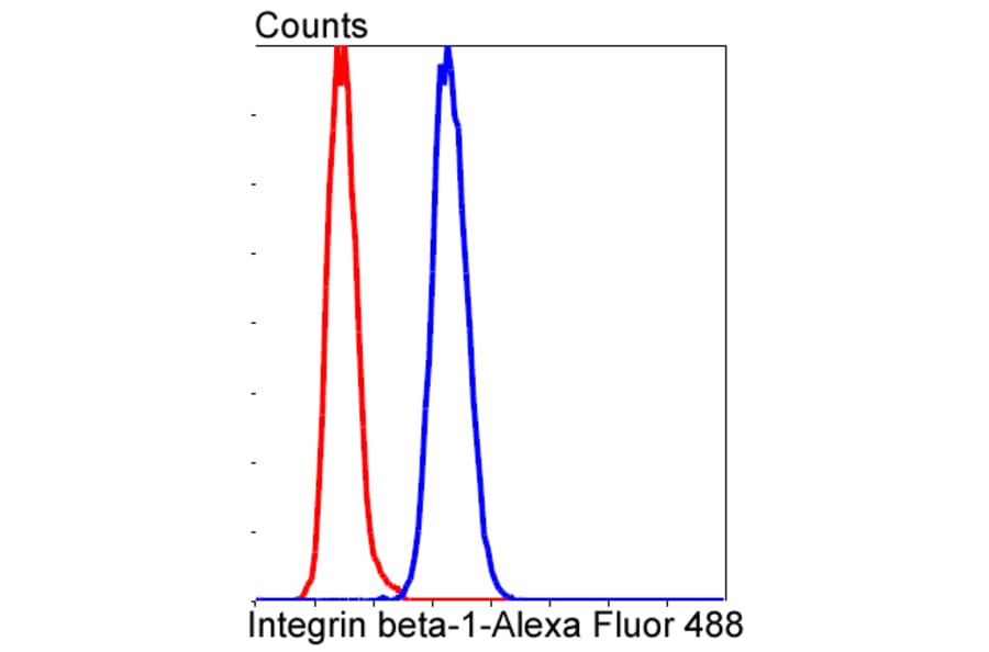 Anti-Integrin β1 Antibody from Bioworld Technology (BS9835M) - Antibodies.com