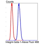 Anti-Integrin β1 Antibody from Bioworld Technology (BS9835M) - Antibodies.com