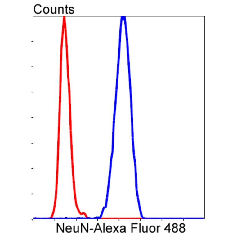 Anti-NeuN Antibody from Bioworld Technology (BS9837M) - Antibodies.com