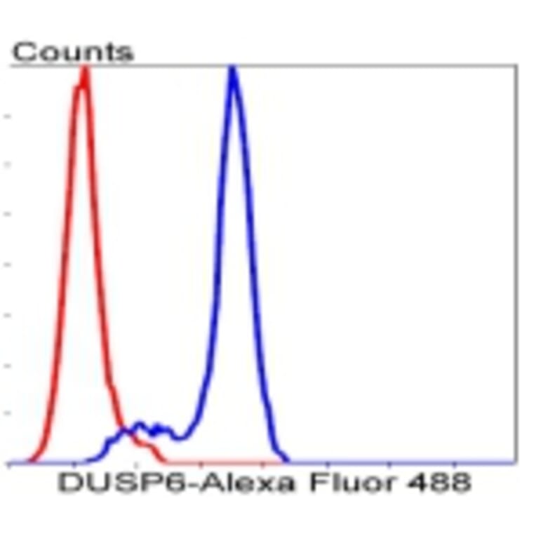 Anti-DUSP6 Antibody from Bioworld Technology (BS9842M) - Antibodies.com