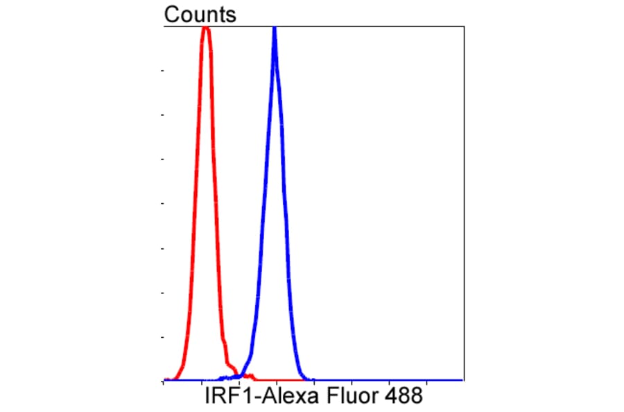 Anti-IRF1 Antibody from Bioworld Technology (BS9853M) - Antibodies.com