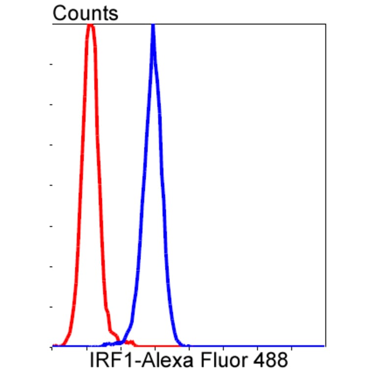 Anti-IRF1 Antibody from Bioworld Technology (BS9853M) - Antibodies.com