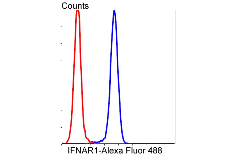 Anti-IFN-R1 Antibody from Bioworld Technology (BS9863M) - Antibodies.com