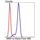 Anti-MMP12 Antibody from Bioworld Technology (BS9869M) - Antibodies.com