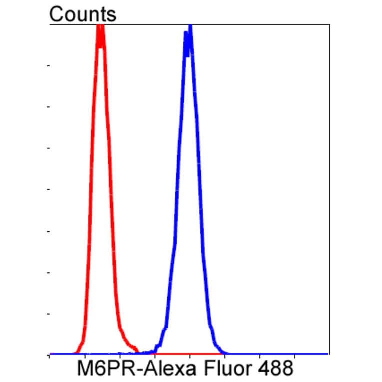 Anti-IGF-2R Antibody from Bioworld Technology (BS9874M) - Antibodies.com
