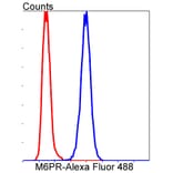 Anti-IGF-2R Antibody from Bioworld Technology (BS9874M) - Antibodies.com