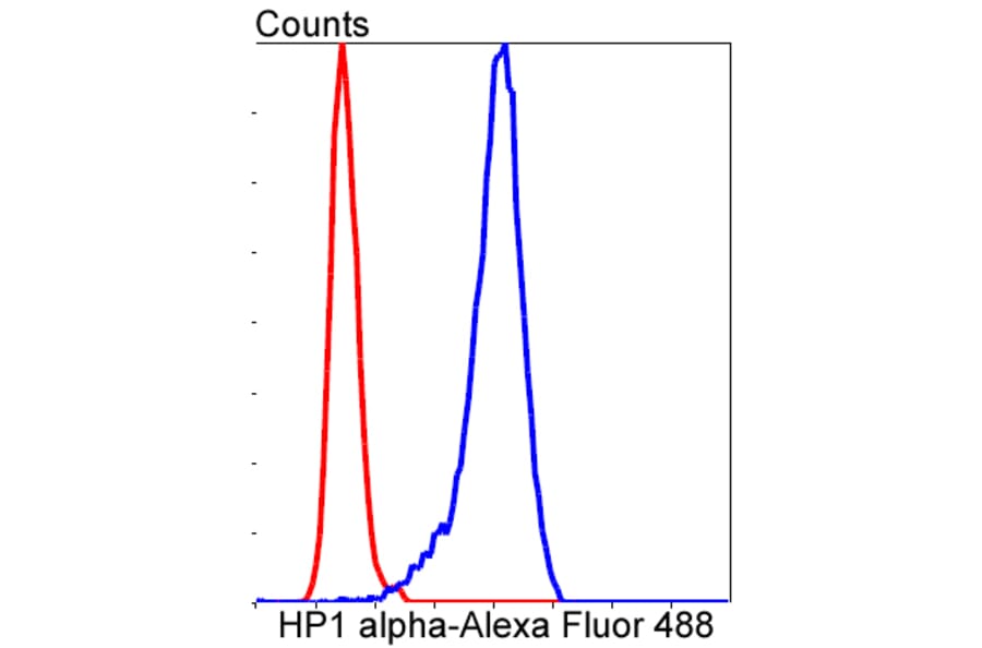 Anti-CBX5 Antibody from Bioworld Technology (BS9876M) - Antibodies.com