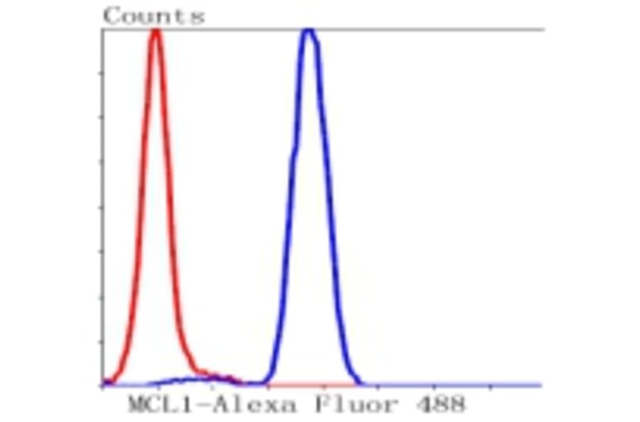Anti-MCL1 Antibody from Bioworld Technology (BS9891M) - Antibodies.com